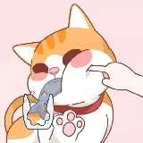 Vrolijke kattenpuzzel