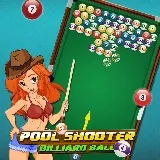 Pool Shooter Pool Ball