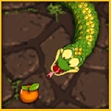 Snake Attack